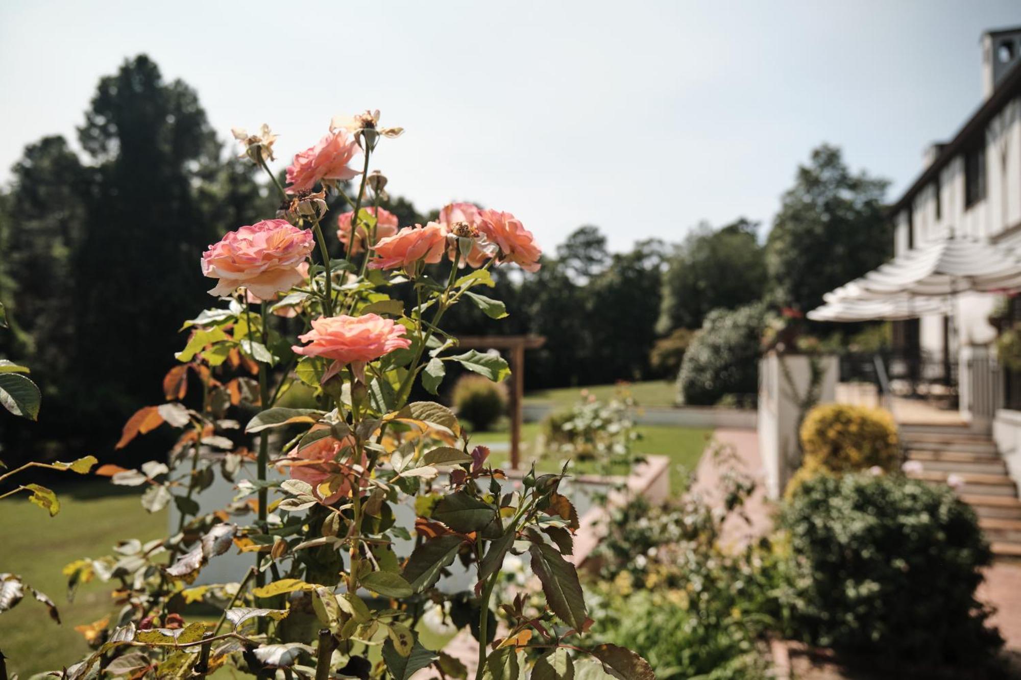 Duncraig Manor Bed & Breakfast Southern Pines Eksteriør bilde